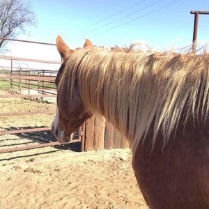 Meet your Posher, Terry